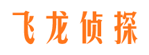 渭城婚外情调查